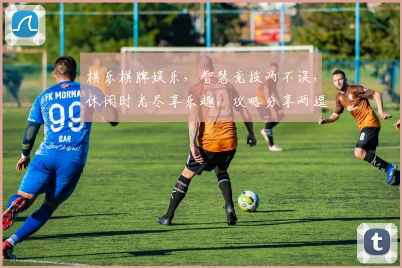 棋乐棋牌娱乐，智慧竞技两不误，休闲时光尽享乐趣，攻略分享两逗轻松学