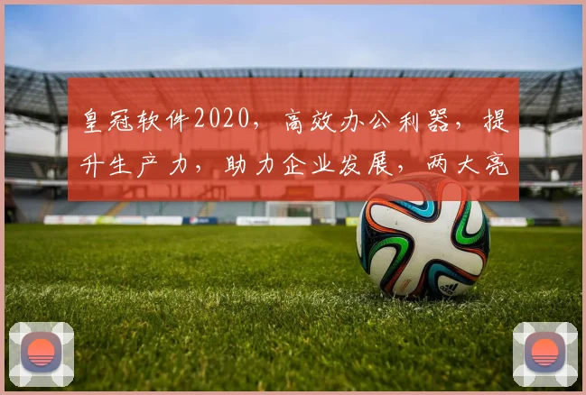 皇冠软件2020，高效办公利器，提升生产力，助力企业发展，两大亮点不容错过