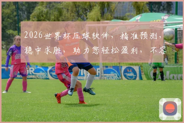 2026世界杯压球软件，精准预测，稳中求胜，助力您轻松盈利，不容错过